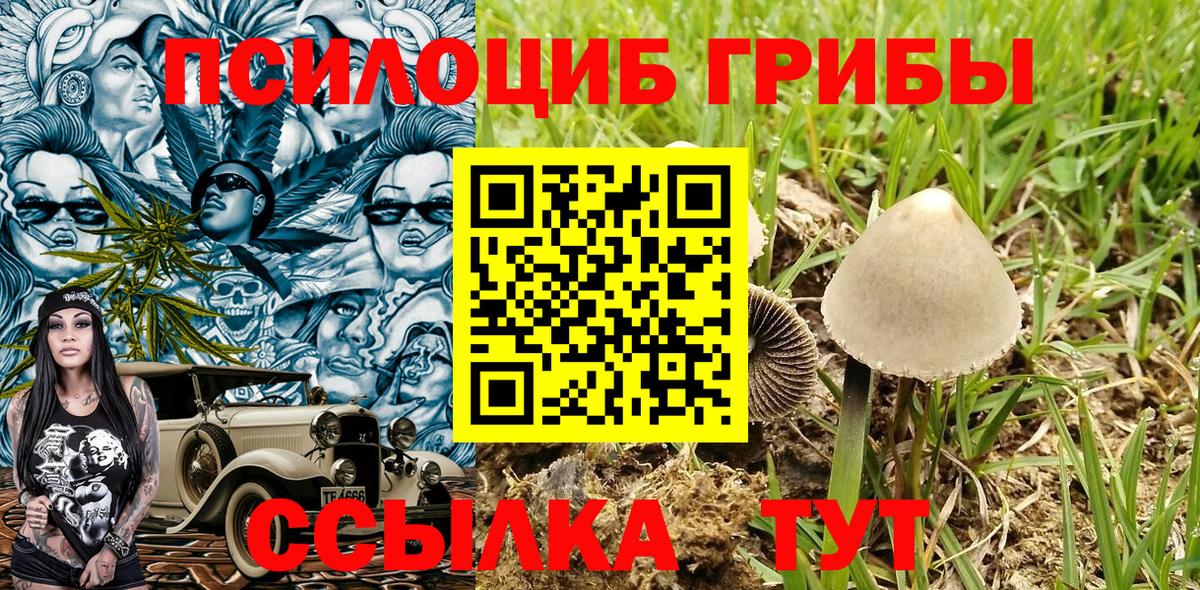 Галлюциногенные грибы GOLDEN TEACHER  Вход с VPN  Железноводск 